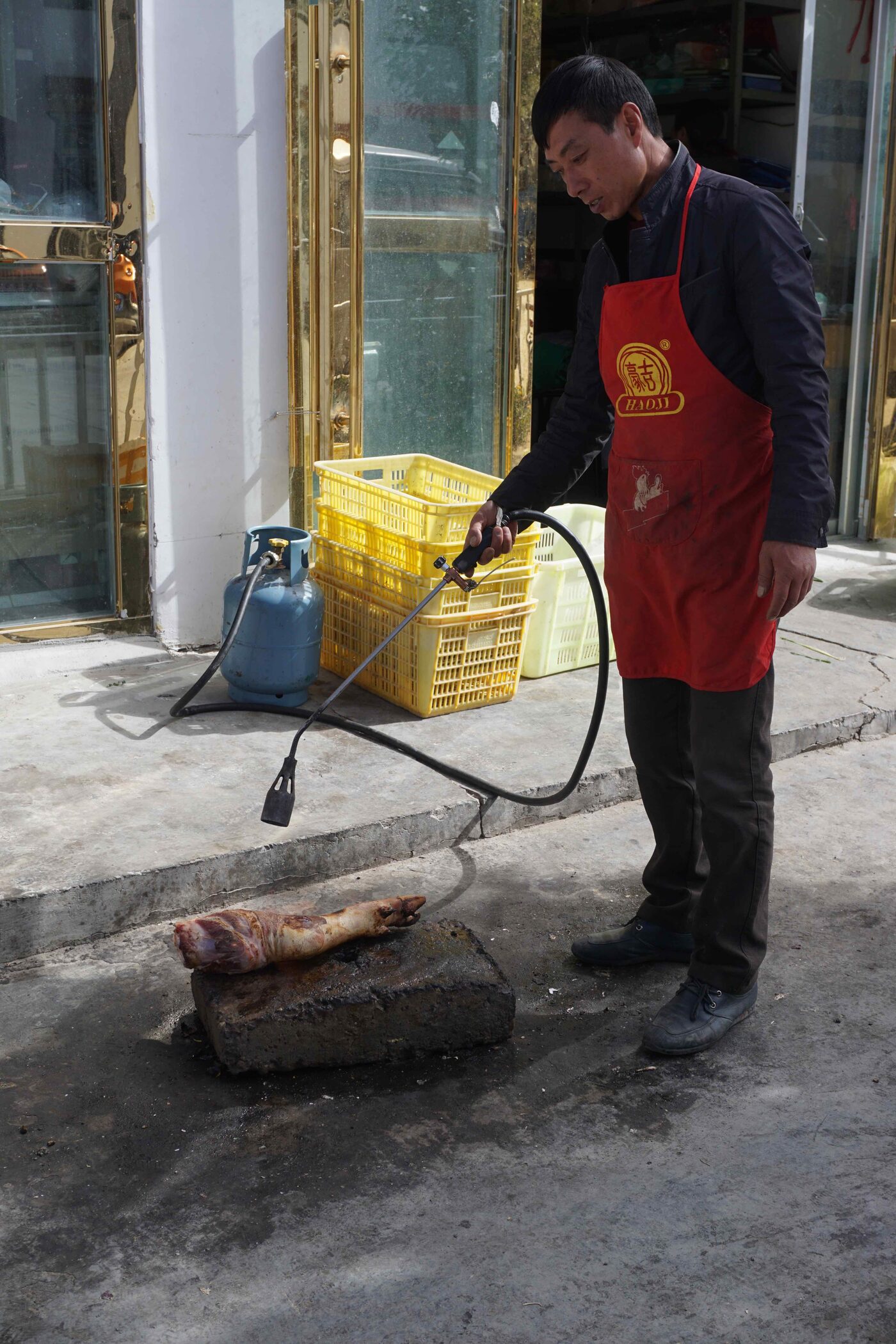 Torching the skin out of a piece of pork!